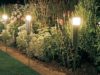 Oświetlenie ogrodu